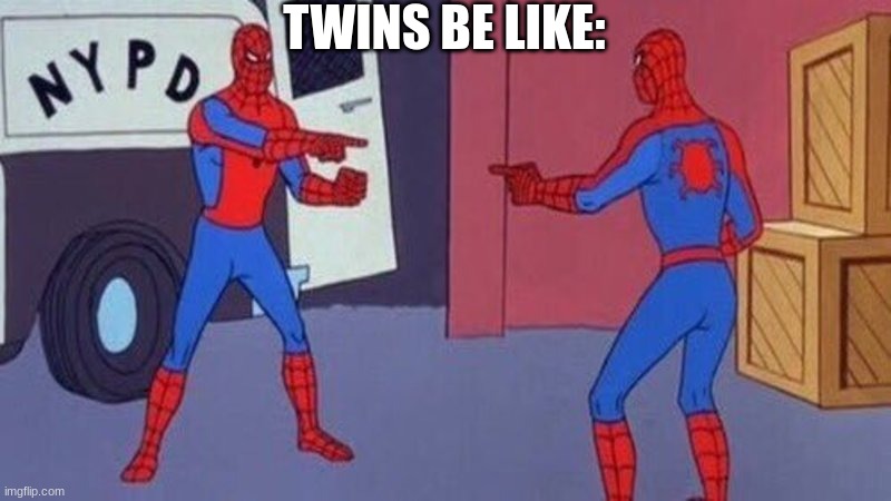 twins be like: | TWINS BE LIKE: | image tagged in spiderman pointing at spiderman,twins be like | made w/ Imgflip meme maker