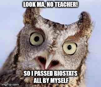 LOOK MA, NO TEACHER! SO I PASSED BIOSTATS ALL BY MYSELF | image tagged in surprised owl | made w/ Imgflip meme maker