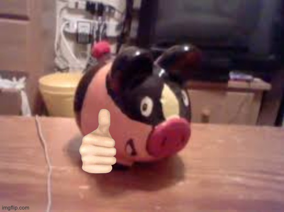 Tepig piggy bank (not mine lol) | image tagged in tepig piggy bank not mine lol | made w/ Imgflip meme maker