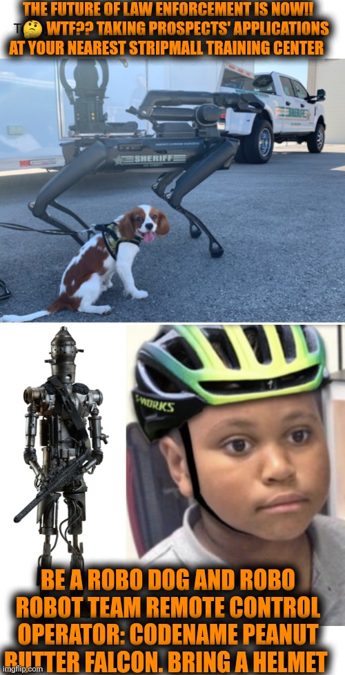 Funny | THE FUTURE OF LAW ENFORCEMENT IS NOW!!
     🤔 WTF?? TAKING PROSPECTS' APPLICATIONS AT YOUR NEAREST STRIPMALL TRAINING CENTER; BE A ROBO DOG AND ROBO ROBOT TEAM REMOTE CONTROL OPERATOR: CODENAME PEANUT BUTTER FALCON. BRING A HELMET | image tagged in funny,robot,robocop,operator,police,training | made w/ Imgflip meme maker