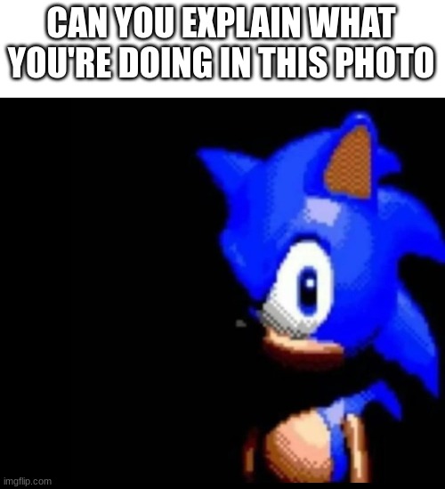 CAN YOU EXPLAIN WHAT YOU'RE DOING IN THIS PHOTO | CAN YOU EXPLAIN WHAT YOU'RE DOING IN THIS PHOTO | image tagged in sonic stares | made w/ Imgflip meme maker