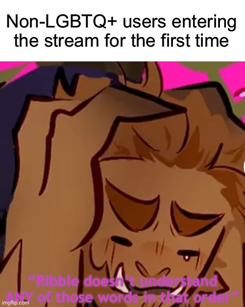 I remember Jay told me once about how he used to be homophobic so entering LGBTQ stream was a weird experience for him | Non-LGBTQ+ users entering the stream for the first time | image tagged in ribble doesn t understand any of those words in that order | made w/ Imgflip meme maker