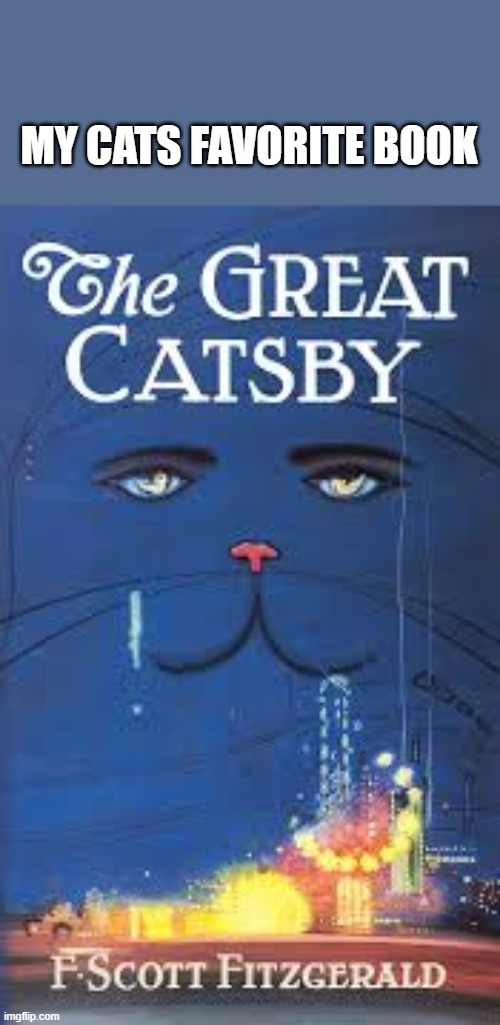 memes by Brad - My cats favorite book is THE GREAT CATSBY | MY CATS FAVORITE BOOK | image tagged in funny,cats,books,kittens,funny cat memes,humor | made w/ Imgflip meme maker