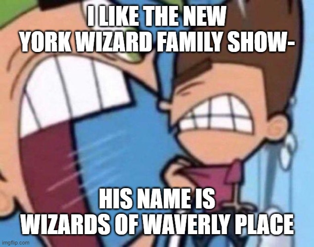 It's coming back later this year! | I LIKE THE NEW YORK WIZARD FAMILY SHOW-; HIS NAME IS WIZARDS OF WAVERLY PLACE | image tagged in cosmo yelling at timmy | made w/ Imgflip meme maker