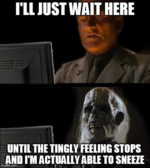 I'll Just Wait Here | I'LL JUST WAIT HERE UNTIL THE TINGLY FEELING STOPS AND I'M ACTUALLY ABLE TO SNEEZE | image tagged in memes,ill just wait here | made w/ Imgflip meme maker