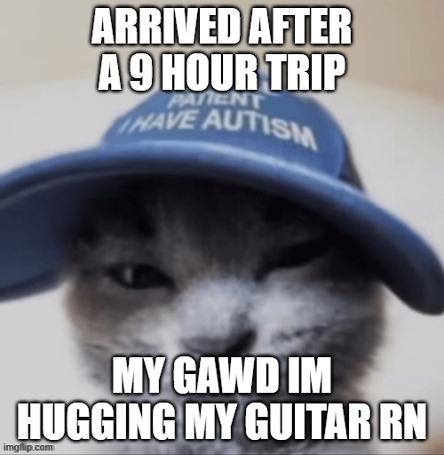 cat autism | ARRIVED AFTER A 9 HOUR TRIP; MY GAWD IM HUGGING MY GUITAR RN | image tagged in cat autism | made w/ Imgflip meme maker