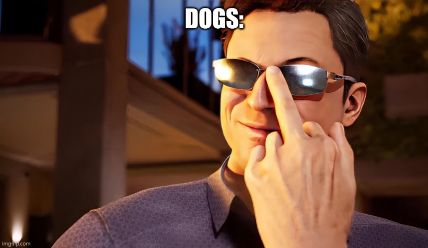 Johnny Cage cool looks | DOGS: | image tagged in johnny cage cool looks | made w/ Imgflip meme maker