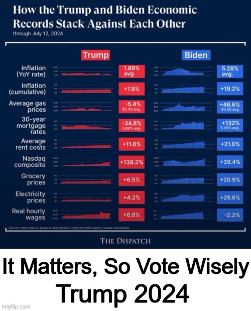 MAGA vs MORONS | It Matters, So Vote Wisely; Trump 2024 | image tagged in politics,reality,are you better off today,easy choice,donald trump,make america great again | made w/ Imgflip meme maker