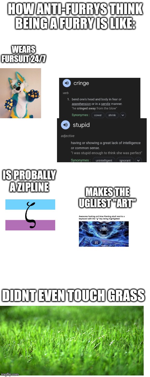 warning:this is extremly offensive to furrys | HOW ANTI-FURRYS THINK BEING A FURRY IS LIKE:; WEARS FURSUIT 24/7; IS PROBALLY A ZIPLINE; MAKES THE UGLIEST "ART"; DIDNT EVEN TOUCH GRASS | image tagged in stupid,idiotic,why,offensive,anti furry,anti-furry | made w/ Imgflip meme maker