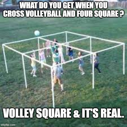 memes by Brad - Cross volleyball and 4 square and you get Volley Square | WHAT DO YOU GET WHEN YOU CROSS VOLLEYBALL AND FOUR SQUARE ? VOLLEY SQUARE & IT'S REAL. | image tagged in funny,sports,volleyball,game,humor,new | made w/ Imgflip meme maker