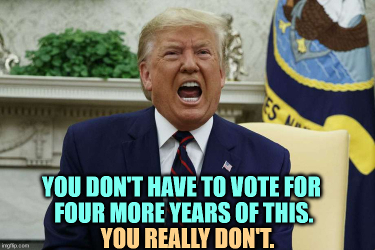 Trump tantrum rage anger yelling shouting infantile | YOU DON'T HAVE TO VOTE FOR 
FOUR MORE YEARS OF THIS. YOU REALLY DON'T. | image tagged in trump tantrum rage anger yelling shouting infantile,trump,tantrum,rage,anger,yelling | made w/ Imgflip meme maker