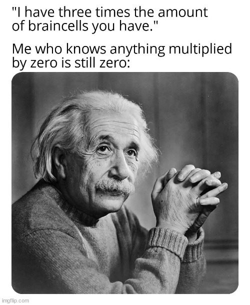 einstein | image tagged in fun,memes,albert einstein,brainrot,funny,funnymemes | made w/ Imgflip meme maker