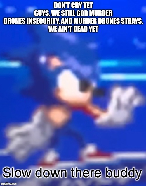 Hol up guys | DON'T CRY YET GUYS, WE STILL GOR MURDER DRONES INSECURITY, AND MURDER DRONES STRAYS.

WE AIN'T DEAD YET | image tagged in slow down there buddy sonic | made w/ Imgflip meme maker