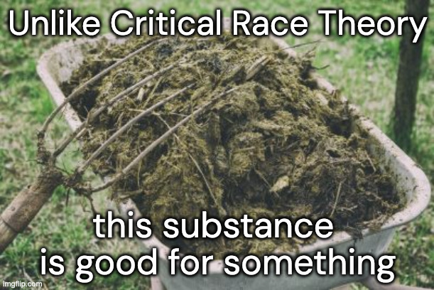 Manure | Unlike Critical Race Theory this substance 
is good for something | image tagged in manure | made w/ Imgflip meme maker