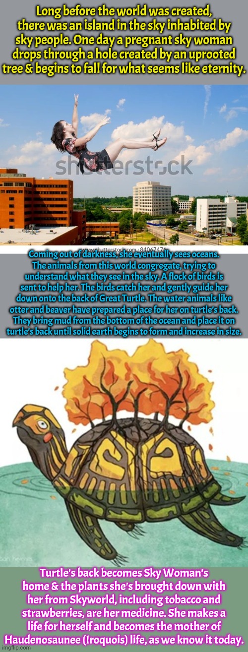 The continent(s) which you call "America," we call "Turtle Island." | Long before the world was created, there was an island in the sky inhabited by sky people. One day a pregnant sky woman drops through a hole created by an uprooted tree & begins to fall for what seems like eternity. Coming out of darkness, she eventually sees oceans.
The animals from this world congregate, trying to understand what they see in the sky. A flock of birds is sent to help her. The birds catch her and gently guide her down onto the back of Great Turtle. The water animals like otter and beaver have prepared a place for her on turtle's back.
They bring mud from the bottom of the ocean and place it on
turtle's back until solid earth begins to form and increase in size. Turtle's back becomes Sky Woman's home & the plants she's brought down with her from Skyworld, including tobacco and strawberries, are her medicine. She makes a life for herself and becomes the mother of
Haudenosaunee (Iroquois) life, as we know it today. | image tagged in beautiful young woman falling through the sky,turtle island,mythology,native american | made w/ Imgflip meme maker