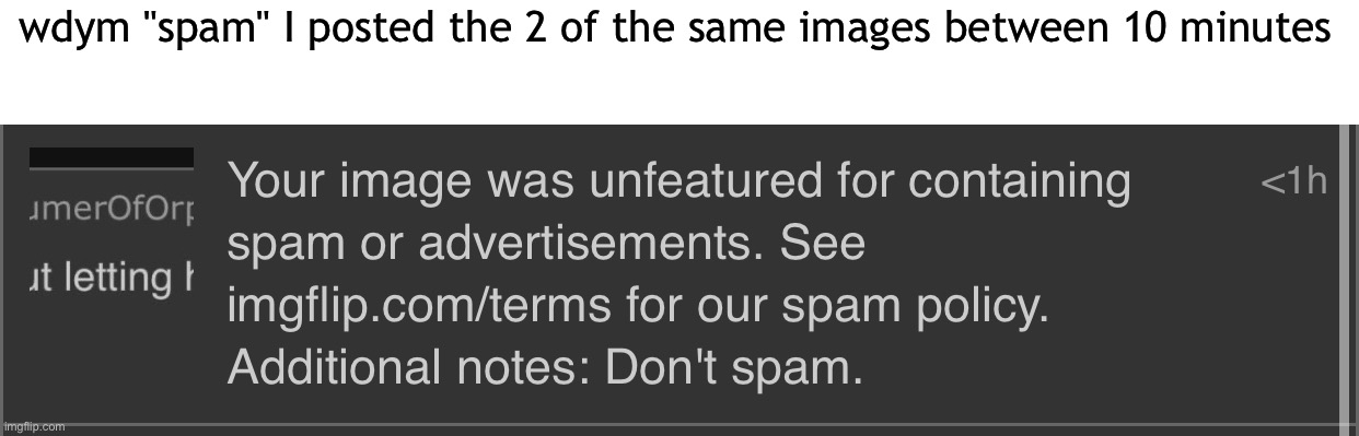 wdym "spam" I posted the 2 of the same images between 10 minutes | made w/ Imgflip meme maker