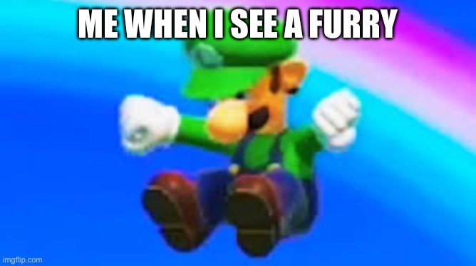 YEET | ME WHEN I SEE A FURRY | image tagged in yeet | made w/ Imgflip meme maker