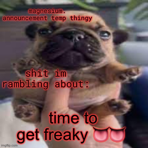 pug temp | time to get freaky 👅👅 | image tagged in pug temp | made w/ Imgflip meme maker