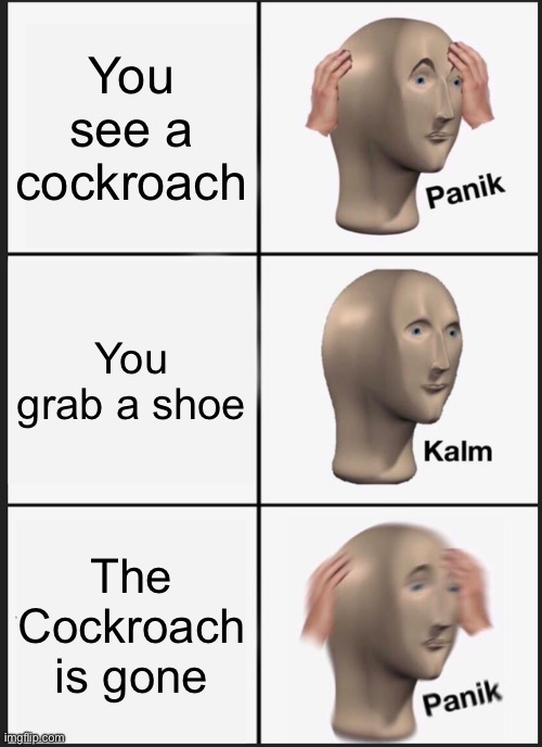 Fear of Roaches | You see a cockroach; You grab a shoe; The Cockroach is gone | image tagged in memes,panik kalm panik | made w/ Imgflip meme maker