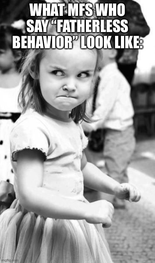 Angry Toddler Meme | WHAT MFS WHO SAY “FATHERLESS BEHAVIOR” LOOK LIKE: | image tagged in memes,angry toddler | made w/ Imgflip meme maker