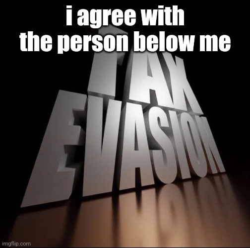 TAX EVASION 3D | i agree with the person below me | image tagged in tax evasion 3d | made w/ Imgflip meme maker