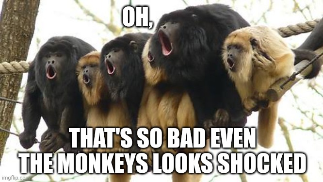 Monkey choir | OH, THAT'S SO BAD EVEN THE MONKEYS LOOKS SHOCKED | image tagged in monkey choir | made w/ Imgflip meme maker