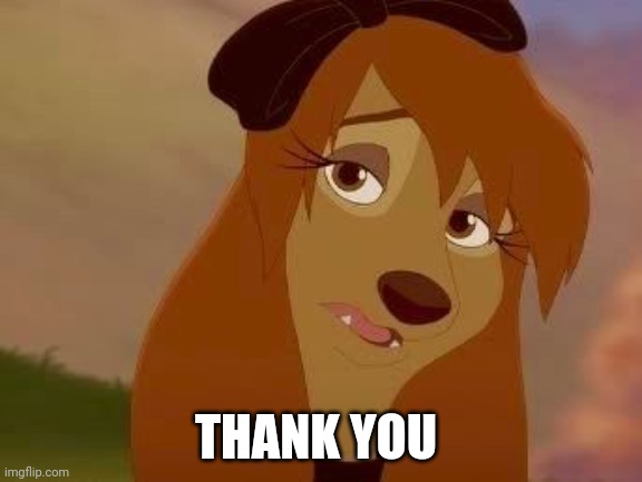 Thank You | THANK YOU | image tagged in dixie melancholy | made w/ Imgflip meme maker