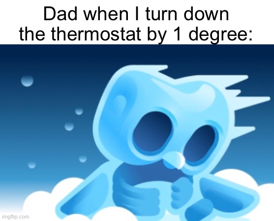 ITS TOO CLOD | Dad when I turn down the thermostat by 1 degree: | image tagged in duolingo,thermostat,cold,died,dad,oh wow are you actually reading these tags | made w/ Imgflip meme maker