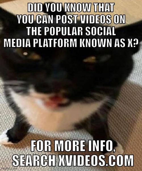 knowledge <3 | DID YOU KNOW THAT YOU CAN POST VIDEOS ON THE POPULAR SOCIAL MEDIA PLATFORM KNOWN AS X? FOR MORE INFO, SEARCH XVIDEOS.COM | made w/ Imgflip meme maker