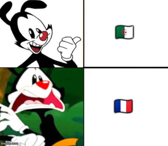 I hate This country france | 🇩🇿; 🇫🇷 | image tagged in yakko yes/no | made w/ Imgflip meme maker