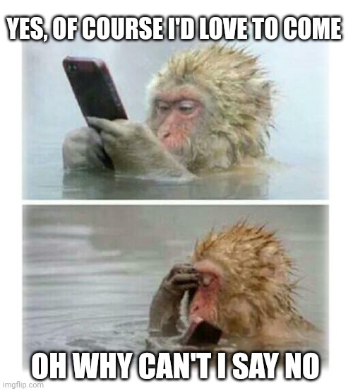 4 seconds after sending that risky text - Monkey | YES, OF COURSE I'D LOVE TO COME; OH WHY CAN'T I SAY NO | image tagged in 4 seconds after sending that risky text - monkey | made w/ Imgflip meme maker