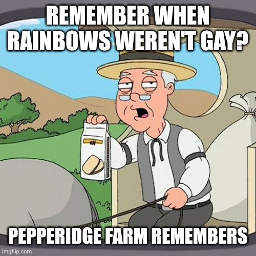 Ahhh, the good old days when rainbows were just a normal interest | REMEMBER WHEN RAINBOWS WEREN'T GAY? PEPPERIDGE FARM REMEMBERS | image tagged in memes,pepperidge farm remembers | made w/ Imgflip meme maker