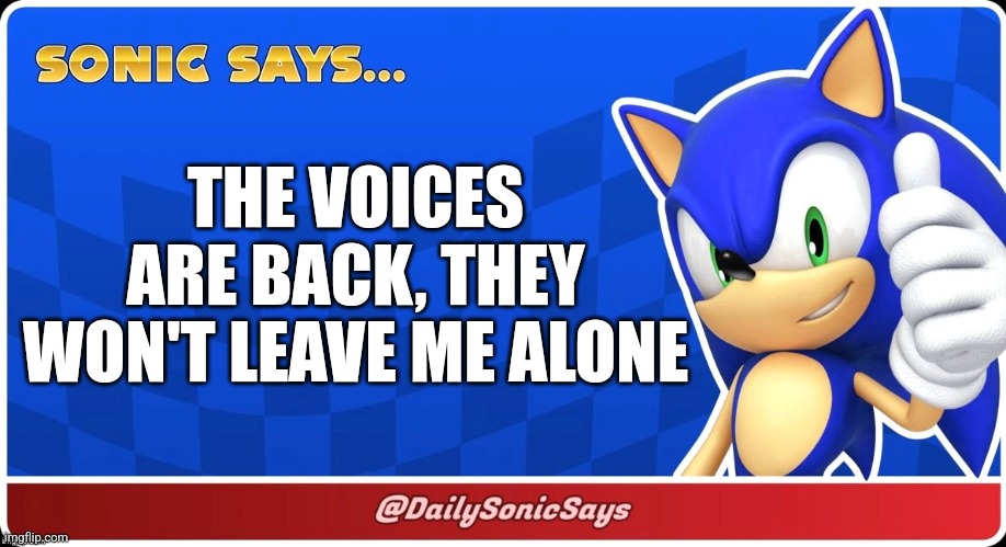 Sonic Says #12 (@DailySonicSays on Twitter/X) | THE VOICES ARE BACK, THEY WON'T LEAVE ME ALONE | image tagged in sonic says | made w/ Imgflip meme maker