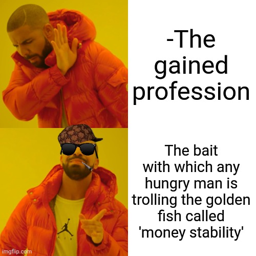 -The professionals have standards. | -The gained profession; The bait with which any hungry man is trolling the golden fish called 'money stability' | image tagged in memes,drake hotline bling,professionals have standards,money money,hungry kim jong un,trollbait / nobody is right | made w/ Imgflip meme maker