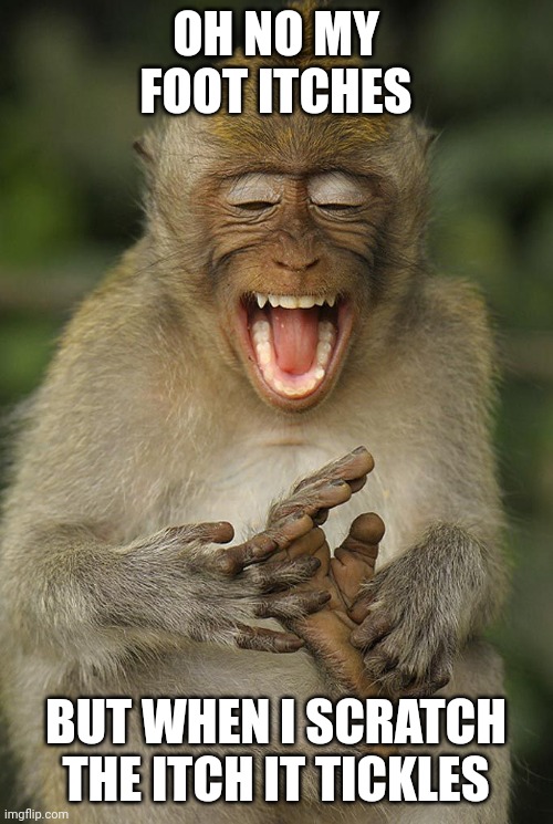 laughing monkey | OH NO MY FOOT ITCHES; BUT WHEN I SCRATCH THE ITCH IT TICKLES | image tagged in laughing monkey | made w/ Imgflip meme maker