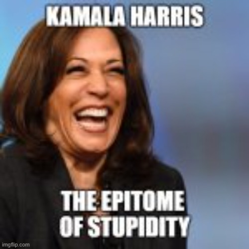 The Epitome of Stupidity | image tagged in kamala harris | made w/ Imgflip meme maker