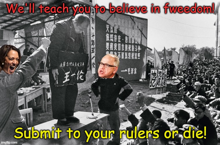 Welcome to the Cultural Revolution, coming to nation near you! | We'll teach you to believe in fweedom! Submit to your rulers or die! | image tagged in cultural revolution | made w/ Imgflip meme maker