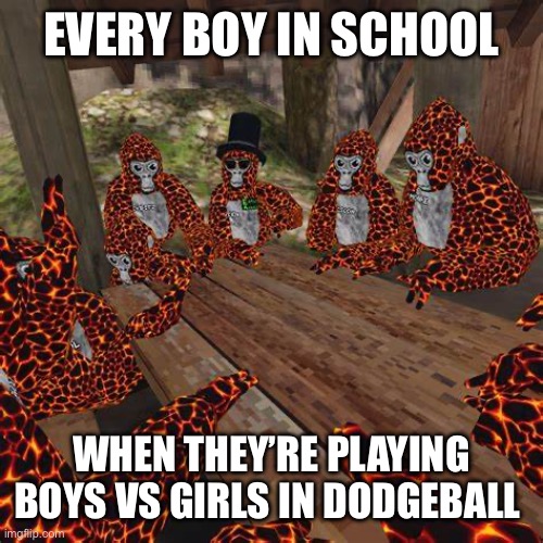 Gorilla Tag Lava Monkes | EVERY BOY IN SCHOOL; WHEN THEY’RE PLAYING BOYS VS GIRLS IN DODGEBALL | image tagged in gorilla tag lava monkes,gorilla tag,school | made w/ Imgflip meme maker