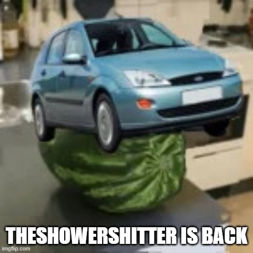 FocusMelon | THESHOWERSHITTER IS BACK | image tagged in focusmelon | made w/ Imgflip meme maker