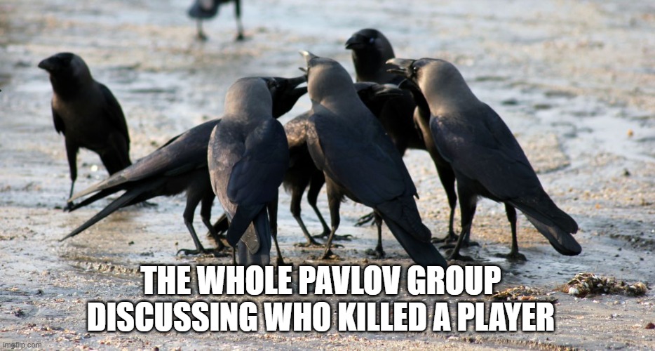 Crows Pavlov | THE WHOLE PAVLOV GROUP DISCUSSING WHO KILLED A PLAYER | image tagged in pavlov,vr,crows | made w/ Imgflip meme maker