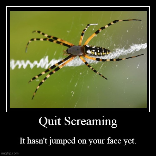 Quit Screaming | It hasn't jumped on your face yet. | image tagged in funny,demotivationals | made w/ Imgflip demotivational maker