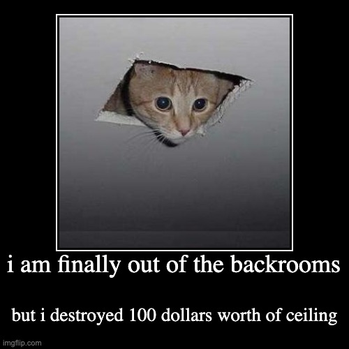 i am finally out of the backrooms | but i destroyed 100 dollars worth of ceiling | image tagged in funny,demotivationals | made w/ Imgflip demotivational maker