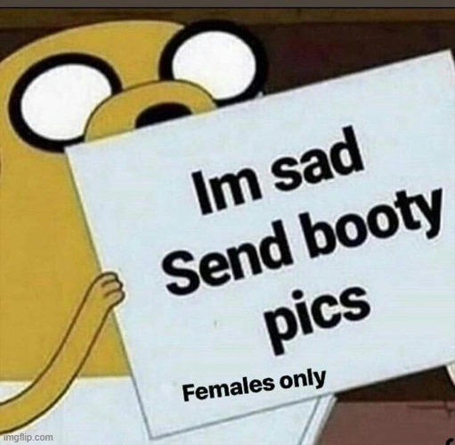 new temp | image tagged in im sad send booty pics females only | made w/ Imgflip meme maker