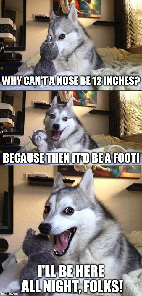 Bad Pun Dog | WHY CAN'T A NOSE BE 12 INCHES? I'LL BE HERE ALL NIGHT, FOLKS! BECAUSE THEN IT'D BE A FOOT! | image tagged in memes,bad pun dog,nose,face,dog,dogs | made w/ Imgflip meme maker