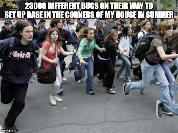 Crowd Running | 23000 DIFFERENT BUGS ON THEIR WAY TO SET UP BASE IN THE CORNERS OF MY HOUSE IN SUMMER | image tagged in crowd running | made w/ Imgflip meme maker