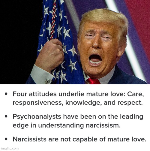 image tagged in american flag,malignant narcissism,baby trump | made w/ Imgflip meme maker