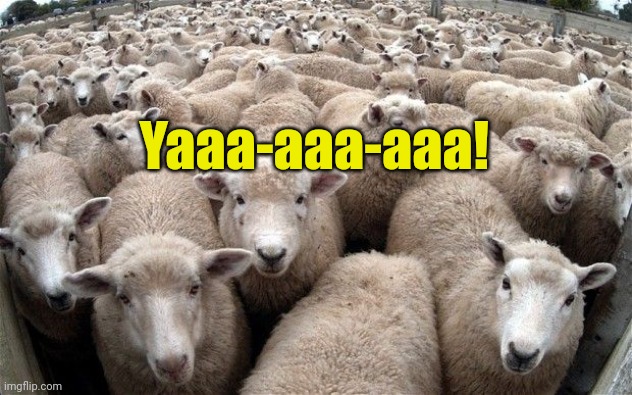 sheeple | Yaaa-aaa-aaa! | image tagged in sheeple | made w/ Imgflip meme maker