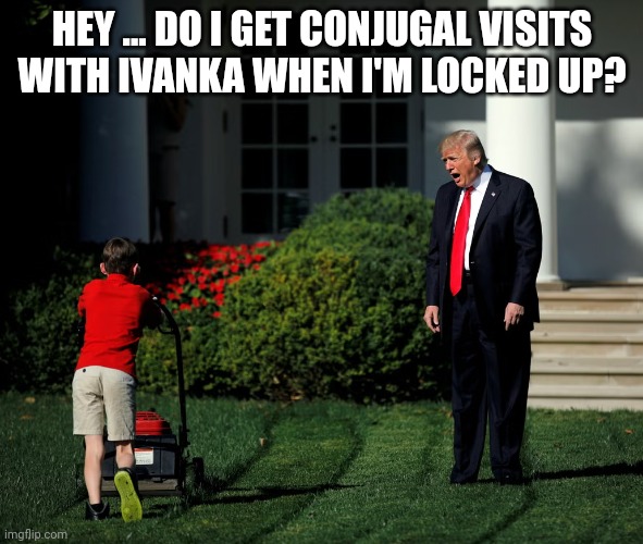 Ivanka | HEY ... DO I GET CONJUGAL VISITS
WITH IVANKA WHEN I'M LOCKED UP? | image tagged in trump on lawn,locked up | made w/ Imgflip meme maker