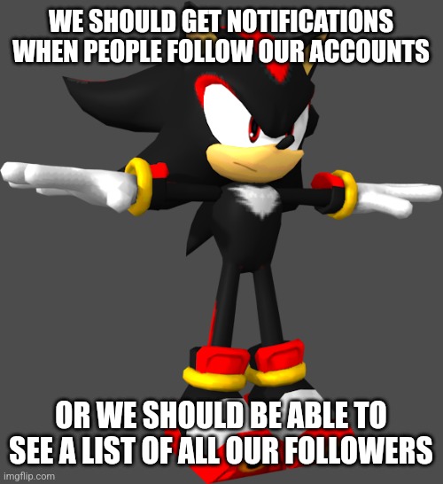 shadow the hedgehog t pose | WE SHOULD GET NOTIFICATIONS WHEN PEOPLE FOLLOW OUR ACCOUNTS; OR WE SHOULD BE ABLE TO SEE A LIST OF ALL OUR FOLLOWERS | image tagged in shadow the hedgehog t pose | made w/ Imgflip meme maker