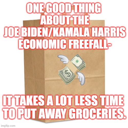 Money Come, Money Go | ONE GOOD THING 
ABOUT THE
JOE BIDEN/KAMALA HARRIS
ECONOMIC FREEFALL-; IT TAKES A LOT LESS TIME 
TO PUT AWAY GROCERIES. | image tagged in bidenomics,socialism,kamala harris | made w/ Imgflip meme maker